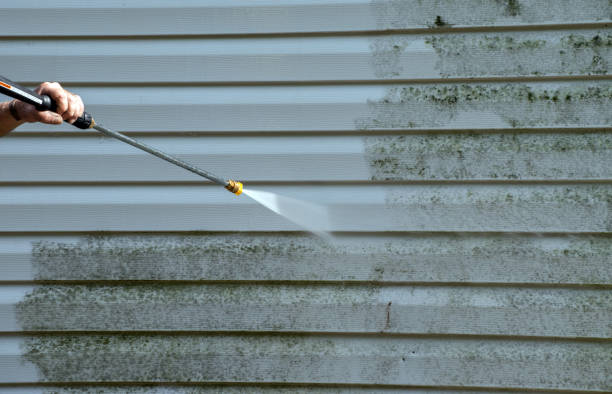 Local Pressure Washing Services in Lemont, PA